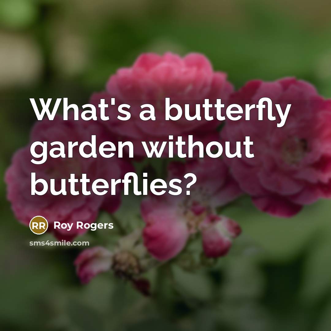 “What's a butterfly garden without butterflies?…” quote by Roy Rogers