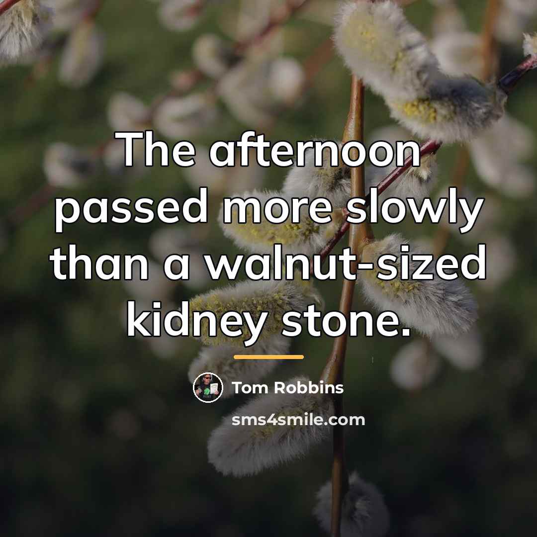 “The afternoon passed more slowly than a walnut-sized kidney stone.…” quote by Tom Robbins