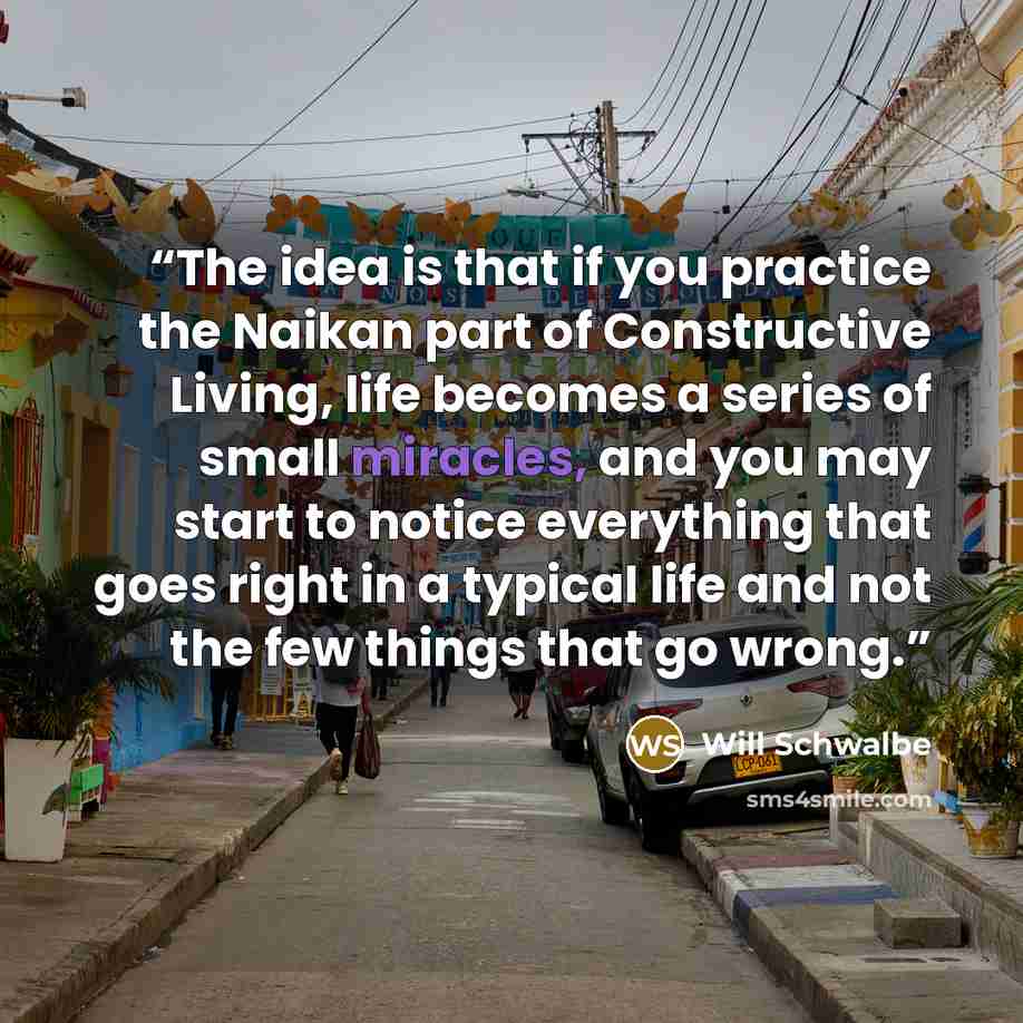 “The idea is that if you practice the Naikan part of Constructive Living, life becomes a series of small miracles, and you may start to notice everything that goes right in a typical life and not the few things that go wrong.” quote by Will Schwalbe