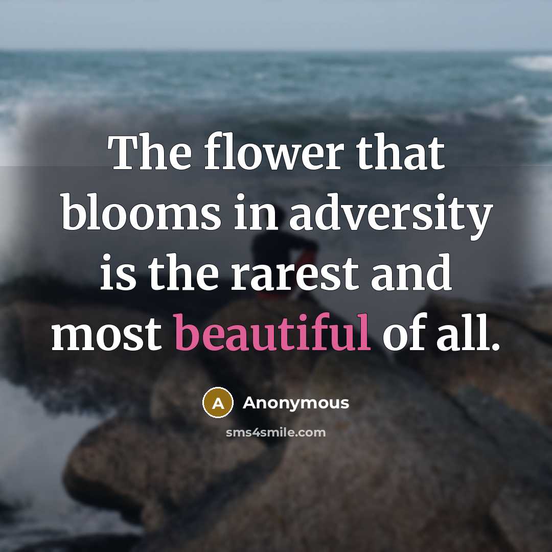 “The flower that blooms in adversity is the rarest and…” quote by Anonymous