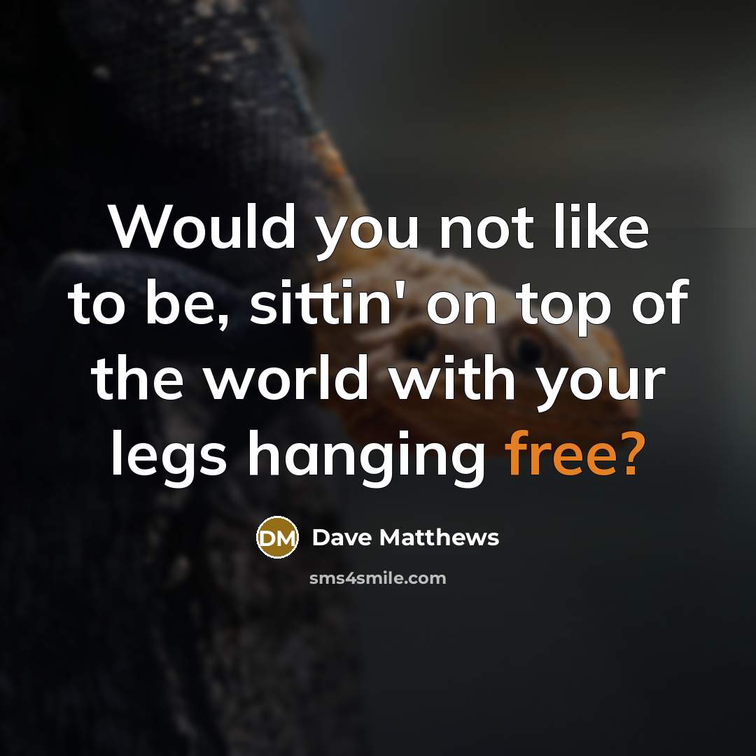 “Would you not like to be, sittin' on top of the world with your legs hanging free?” quote by Dave Matthews