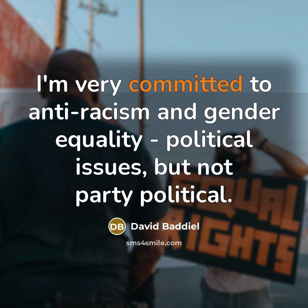 “I'm very committed to anti-racism and gender equality - political…” quote by David Baddiel