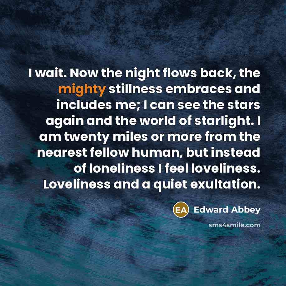 “I wait. Now the night flows back, the mighty stillness…” quote by Edward Abbey