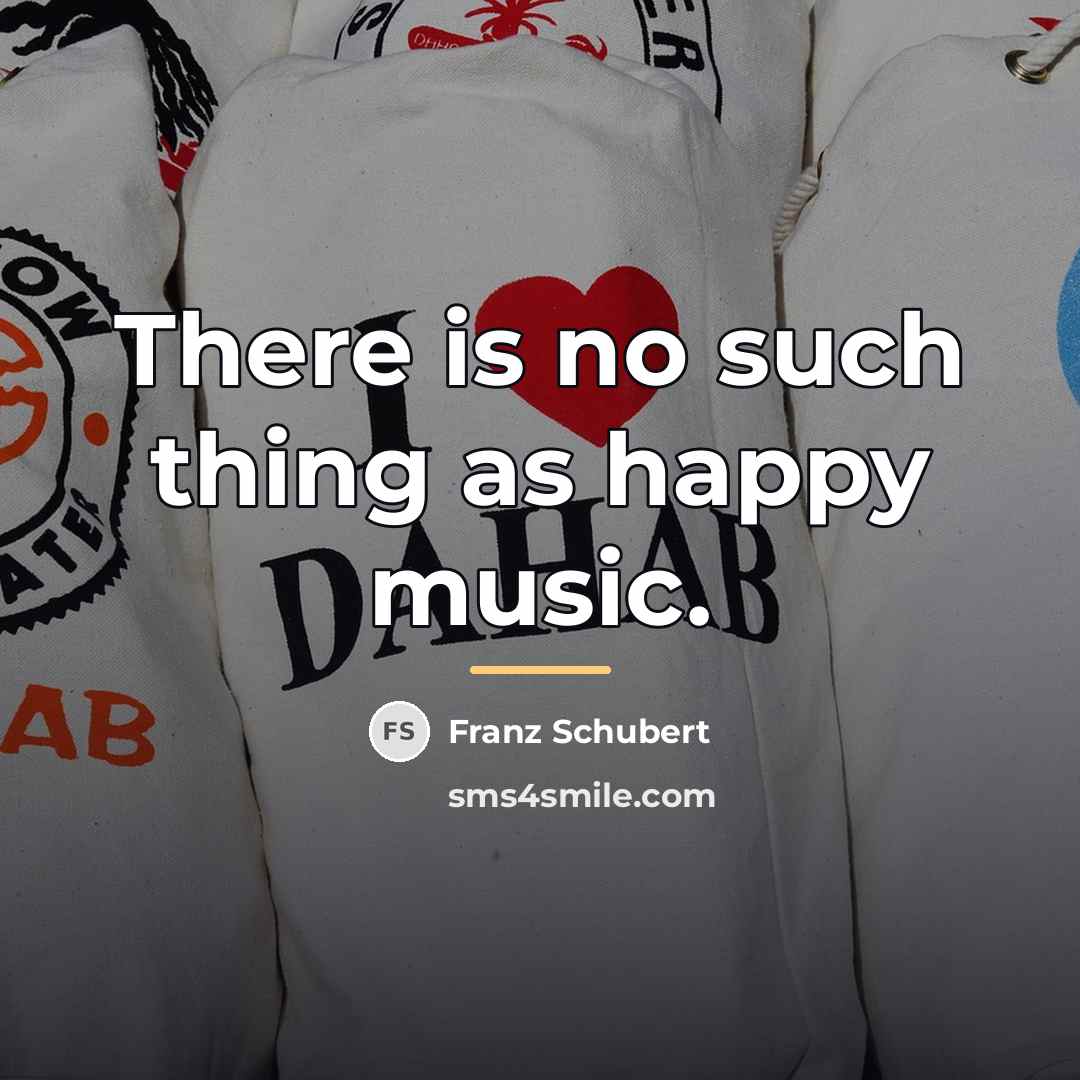 “There is no such thing as happy music.…” quote by Franz Schubert