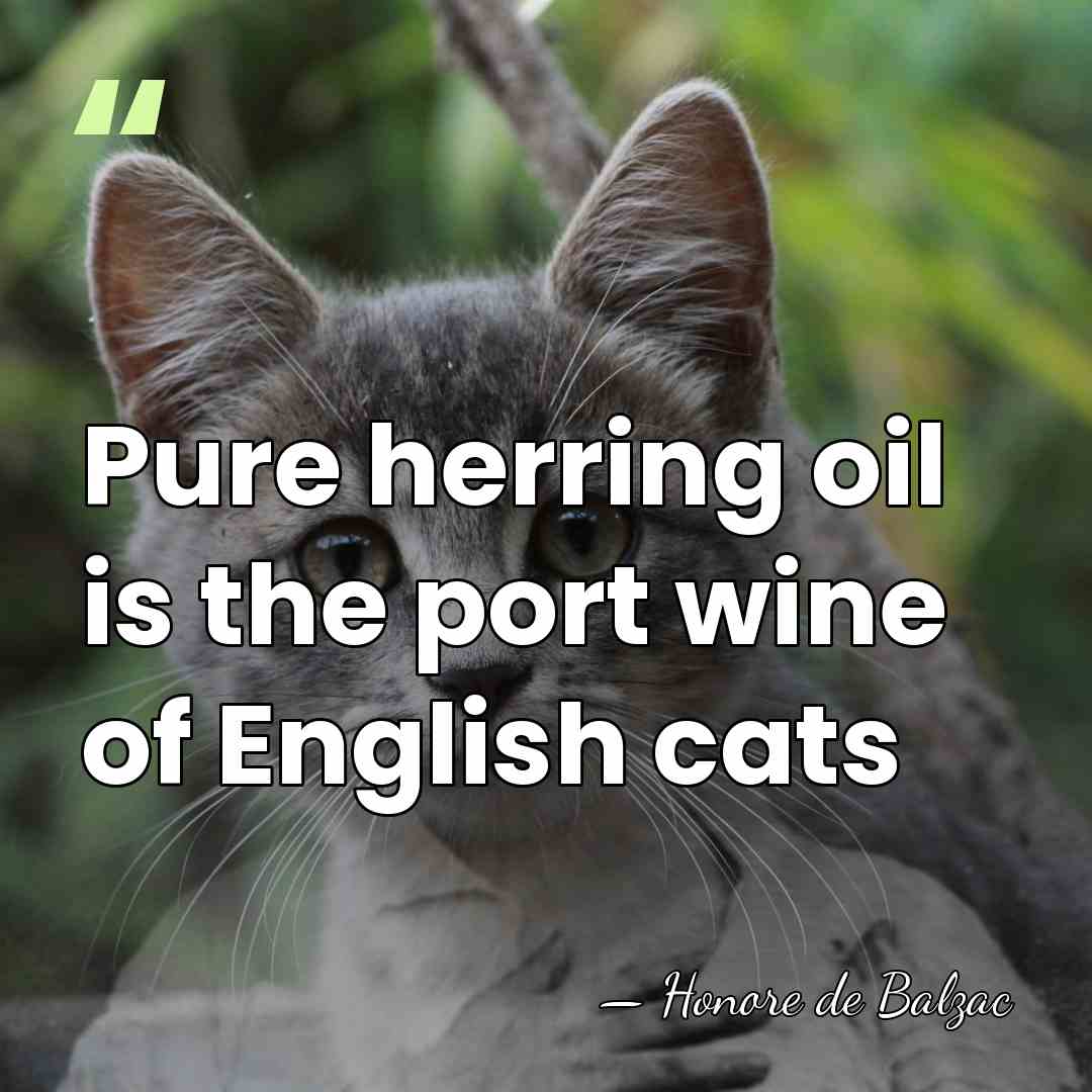 Pure herring oil is the port wine of English cats - HonorÈ De Balzac
