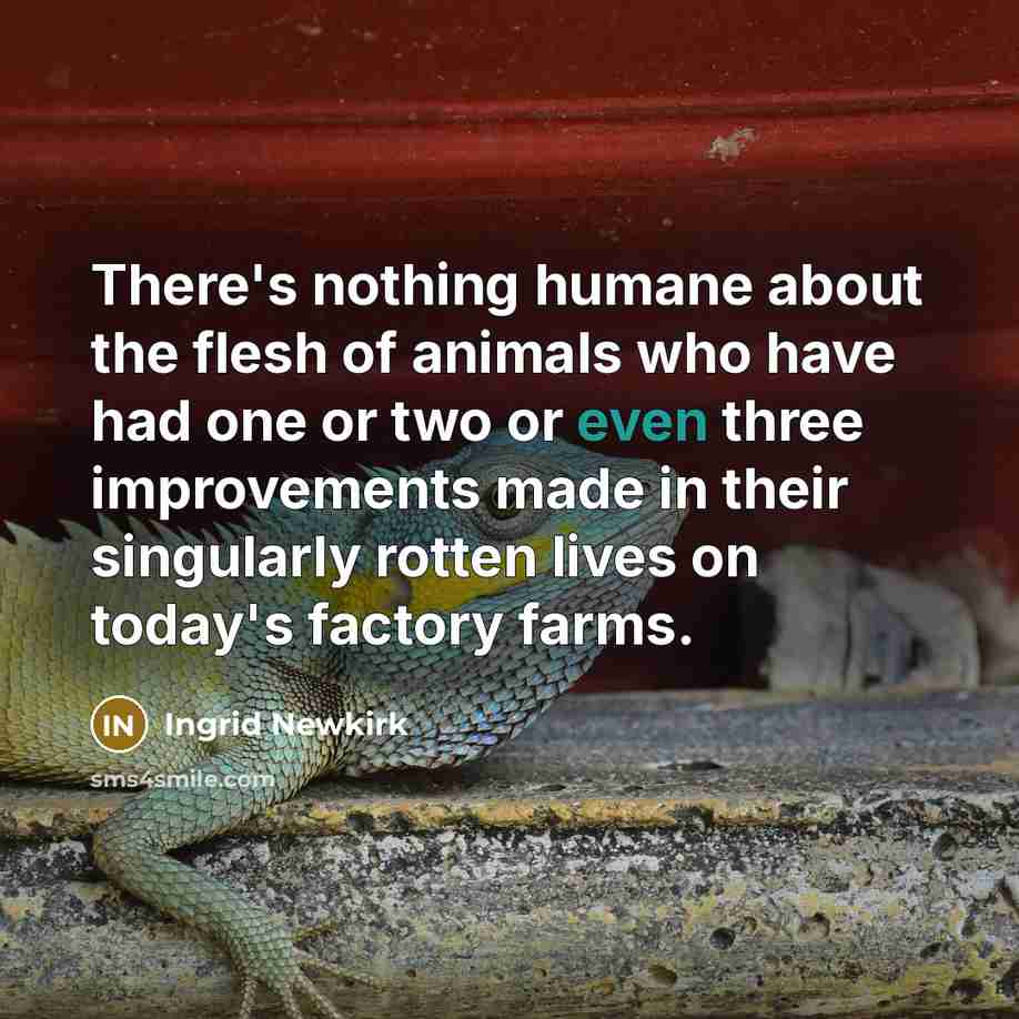 “There's nothing humane about the flesh of animals who have…” quote by Ingrid Newkirk