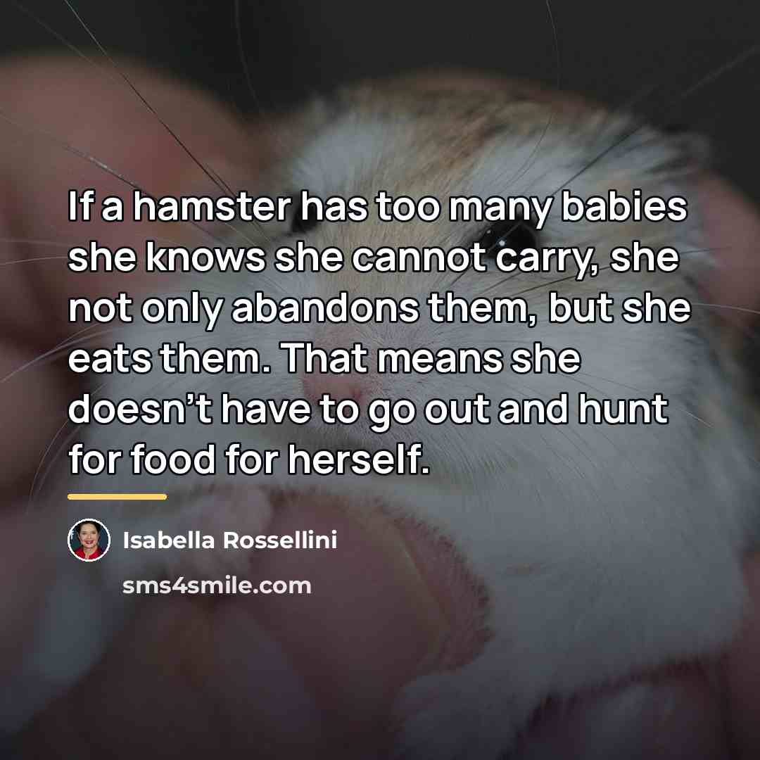 “If a hamster has too many babies she knows she…” quote by Isabella Rossellini