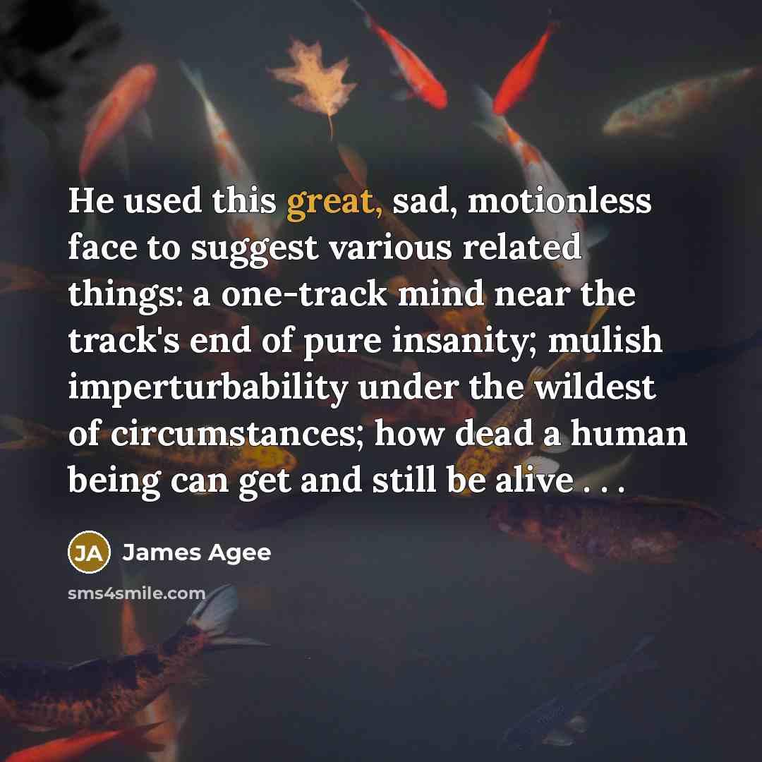 “He used this great, sad, motionless face to suggest various…” quote by James Agee