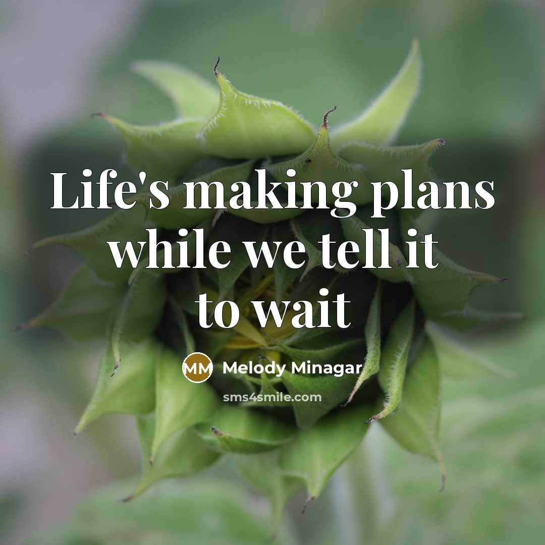 “Life's making plans while we tell it to wait…” quote by Melody Minagar