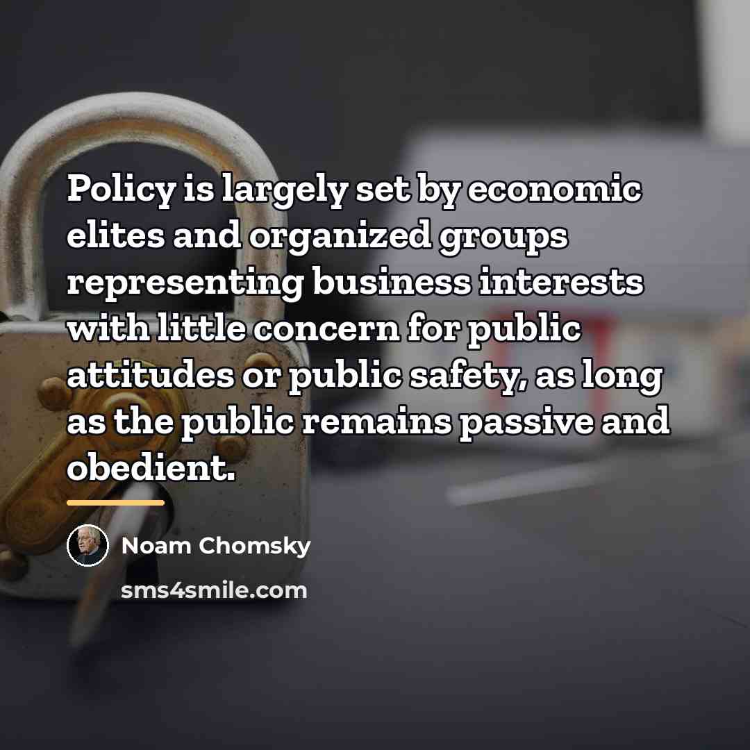 “Policy is largely set by economic elites and organized groups…” quote by Noam Chomsky