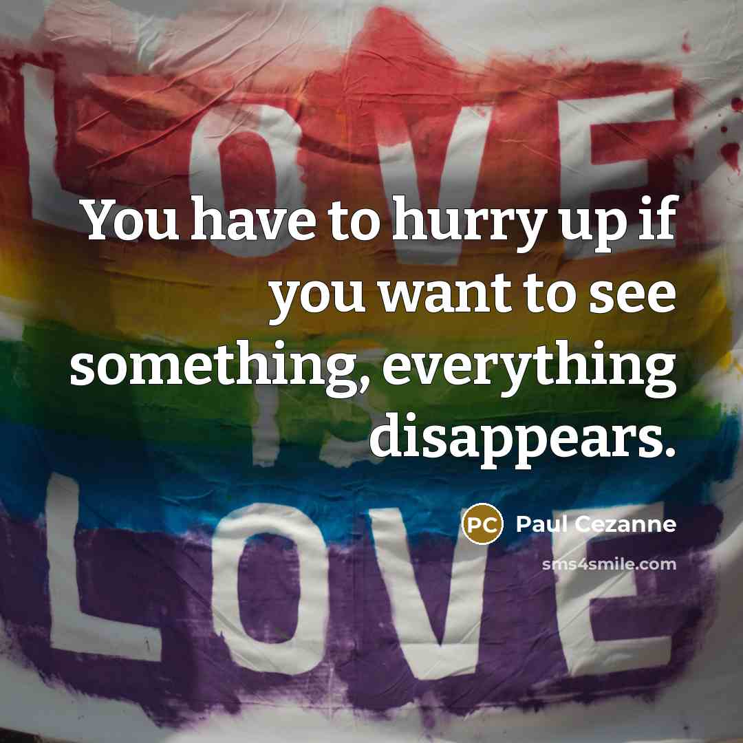 “You have to hurry up if you want to see…” quote by Paul Cezanne