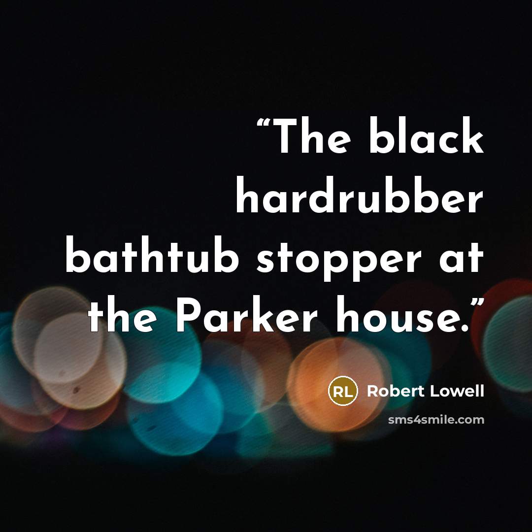 “The black hardrubber bathtub stopper at the Parker house.” quote by Robert Lowell