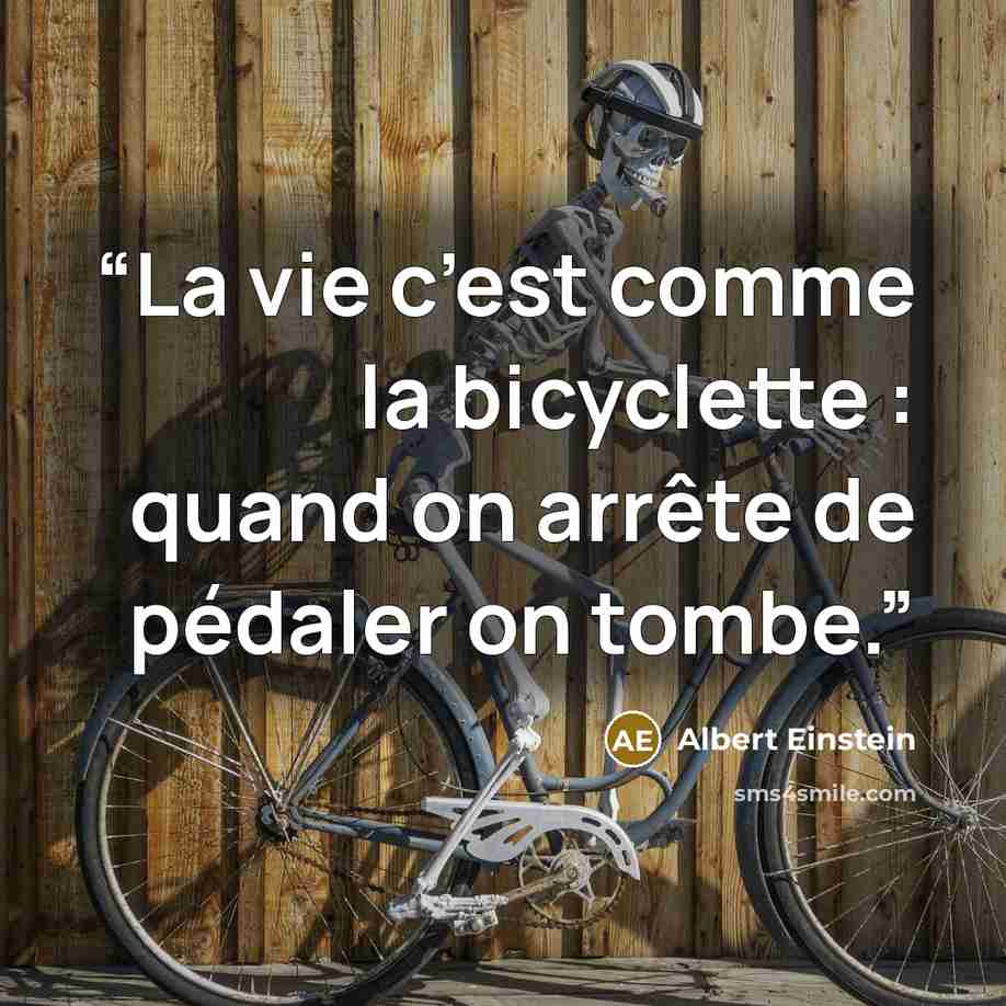 “La vie c’est comme la bicyclette : quand on arrête de pédaler on tombe.” quote by Albert Einstein