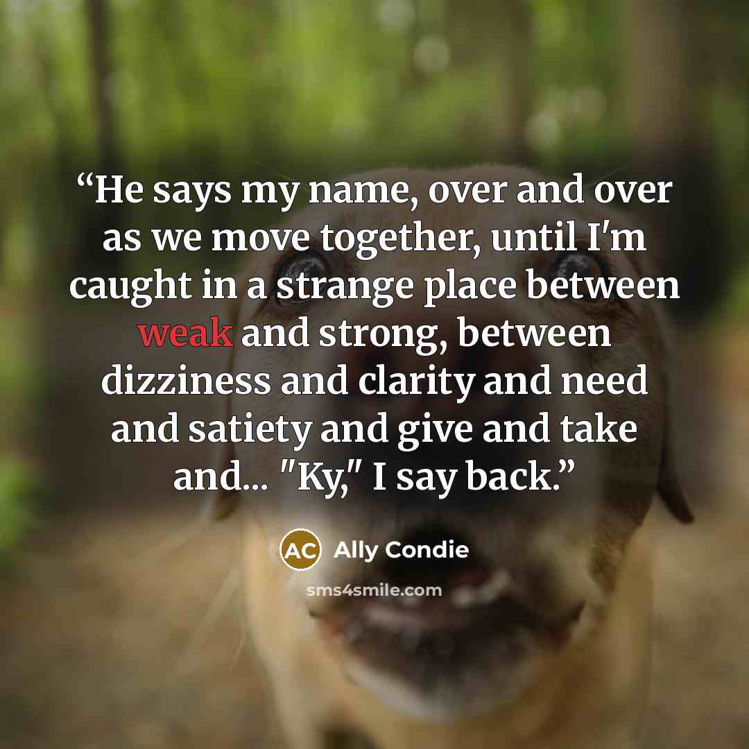 “He says my name, over and over as we move together, until I'm caught in a strange place between weak and strong, between dizziness and clarity and need and satiety and give and take and... "Ky," I say back.” quote by Ally Condie