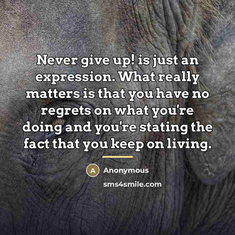 “Never give up! is just an expression. What really matters…” quote by Anonymous