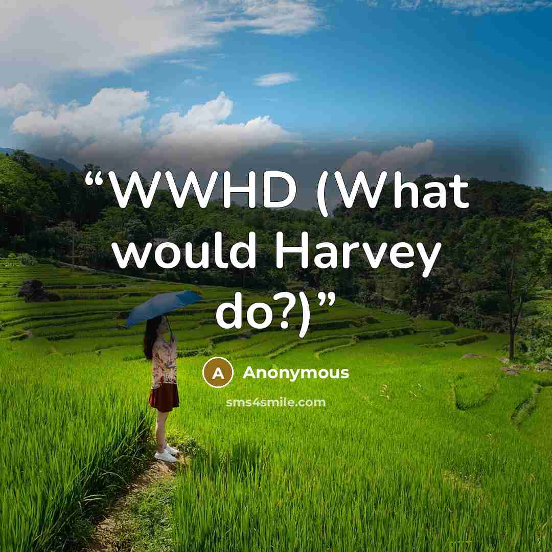 “WWHD (What would Harvey do?)” quote by Anonymous