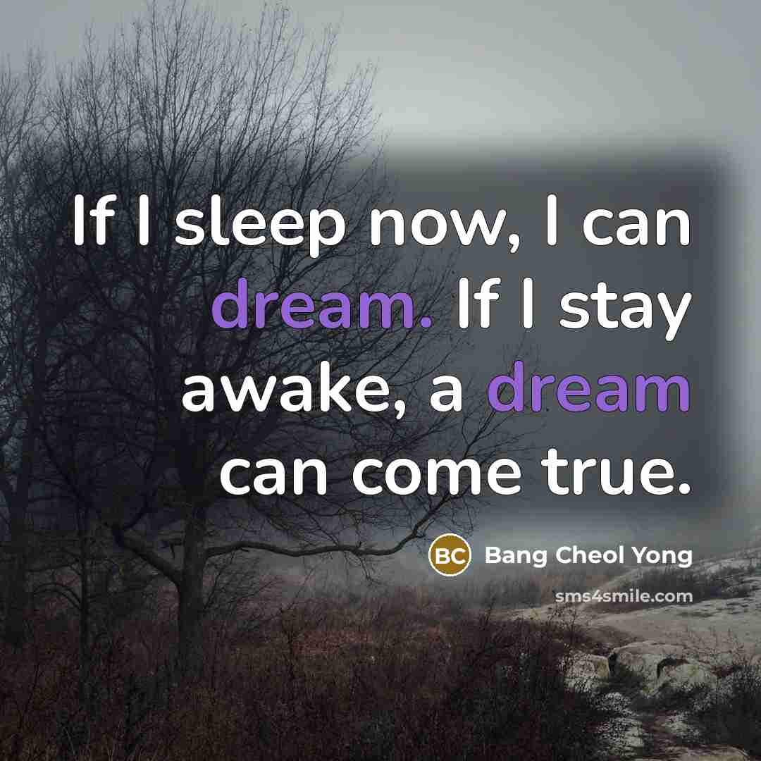 “If I sleep now, I can dream. If I stay awake, a dream can come true.” quote by Bang Cheol Yong
