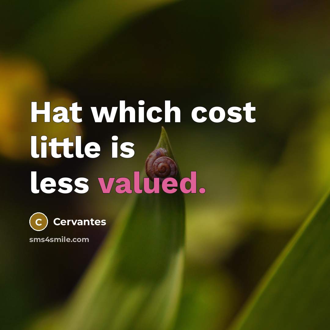 “Hat which cost little is less valued.…” quote by Cervantes