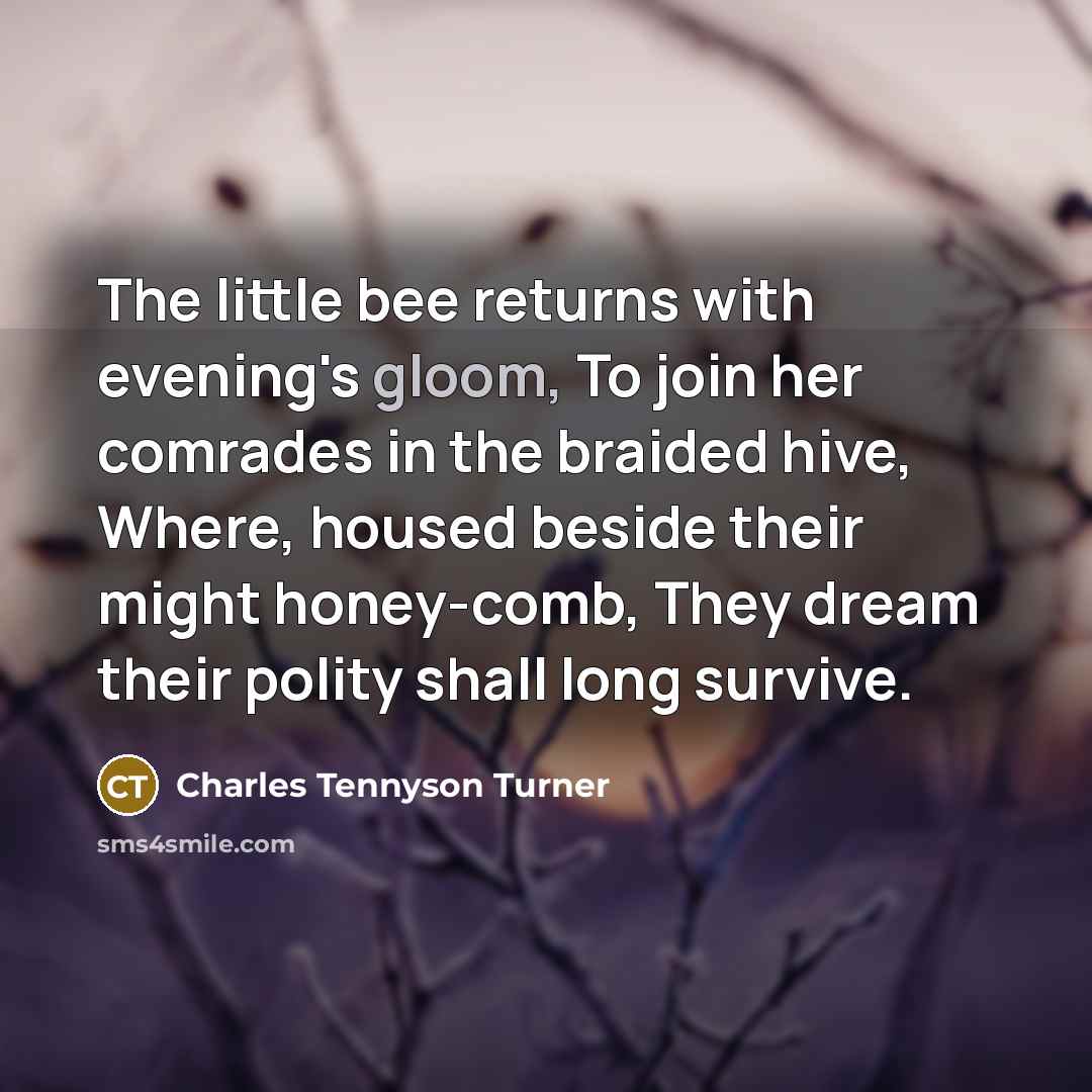 “The little bee returns with evening's gloom, To join her…” quote by Charles Tennyson Turner