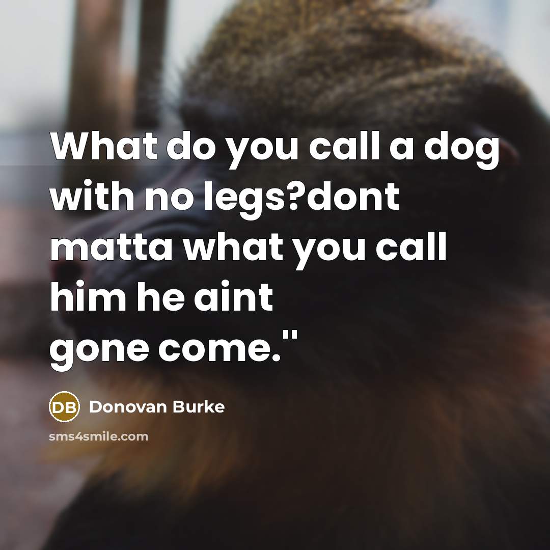 “What do you call a dog with no legs?dont matta what you call him he aint gone come.''” quote by Donovan Burke