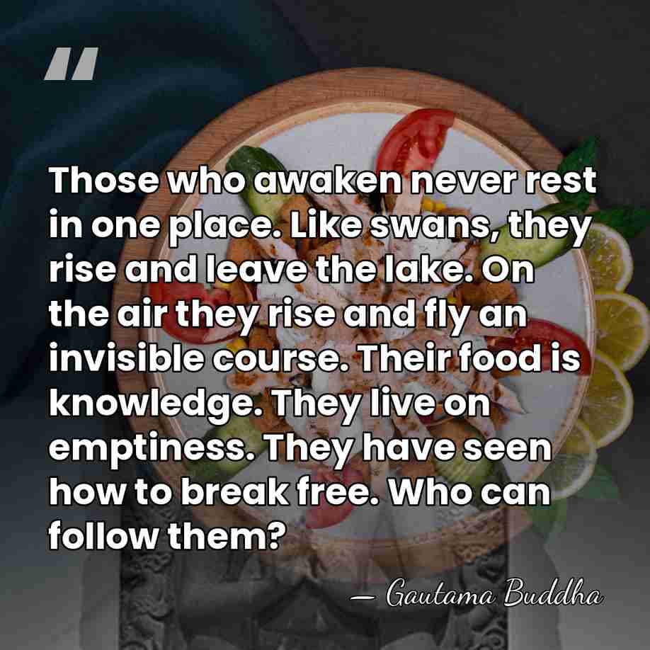 Those who awaken never rest in one place. Like swans, they rise&hellip; - Gautama Buddha