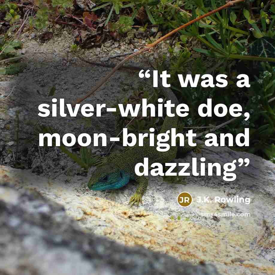 “It was a silver-white doe, moon-bright and dazzling” quote by J.K. Rowling