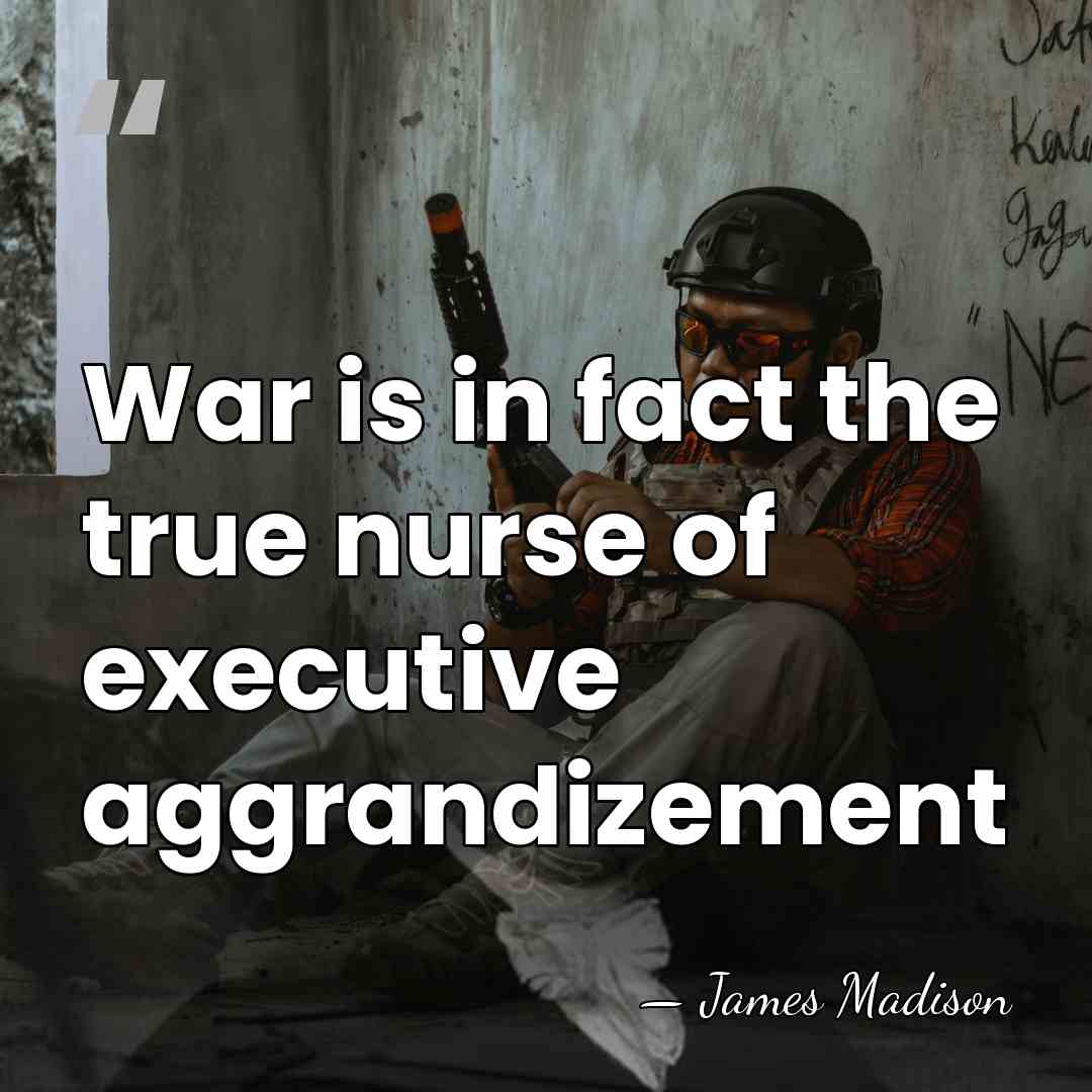 War is in fact the true nurse of executive aggrandizement - James Madison