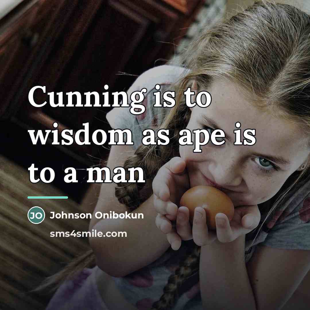 “Cunning is to wisdom as ape is to a man…” quote by Johnson Onibokun