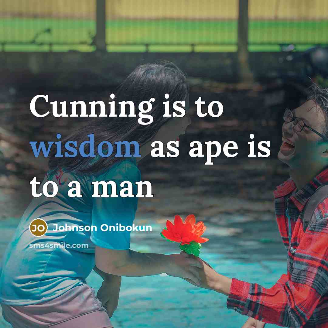 “Cunning is to wisdom as ape is to a man” quote by Johnson Onibokun
