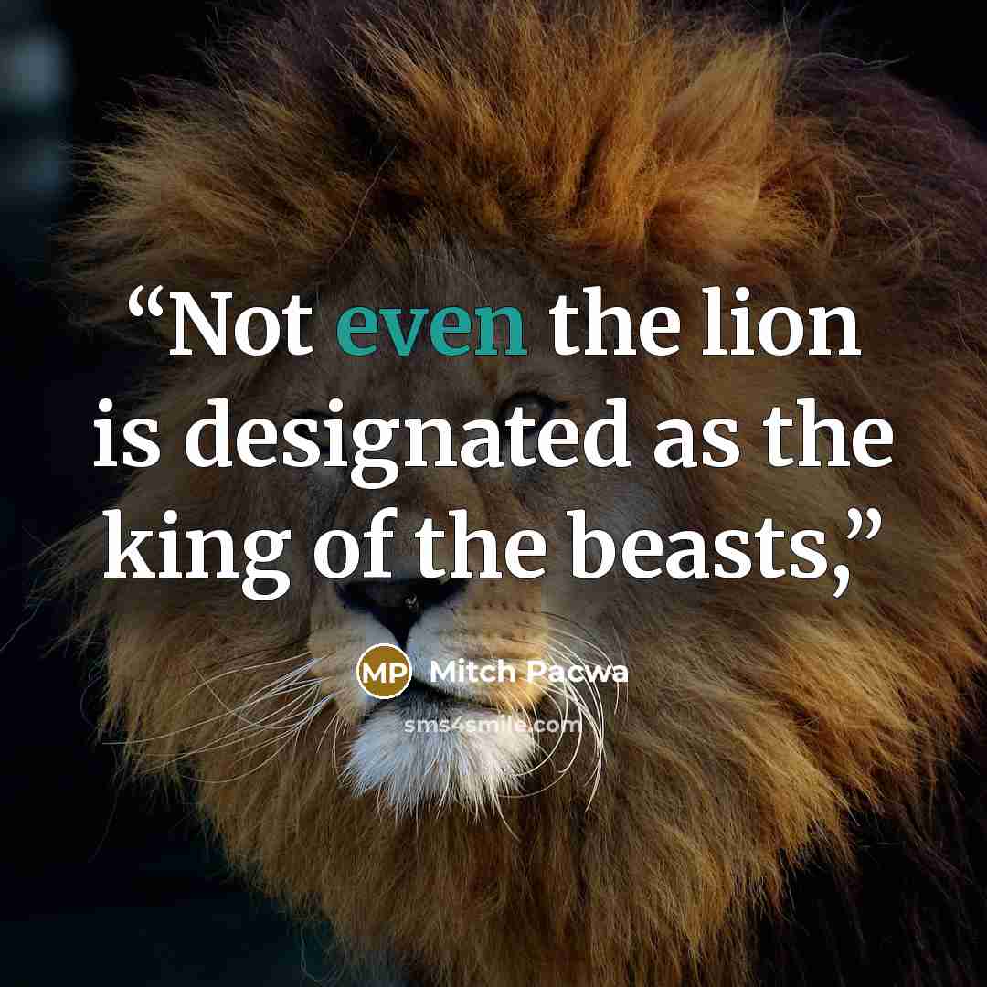 “Not even the lion is designated as the king of the beasts,” quote by Mitch Pacwa
