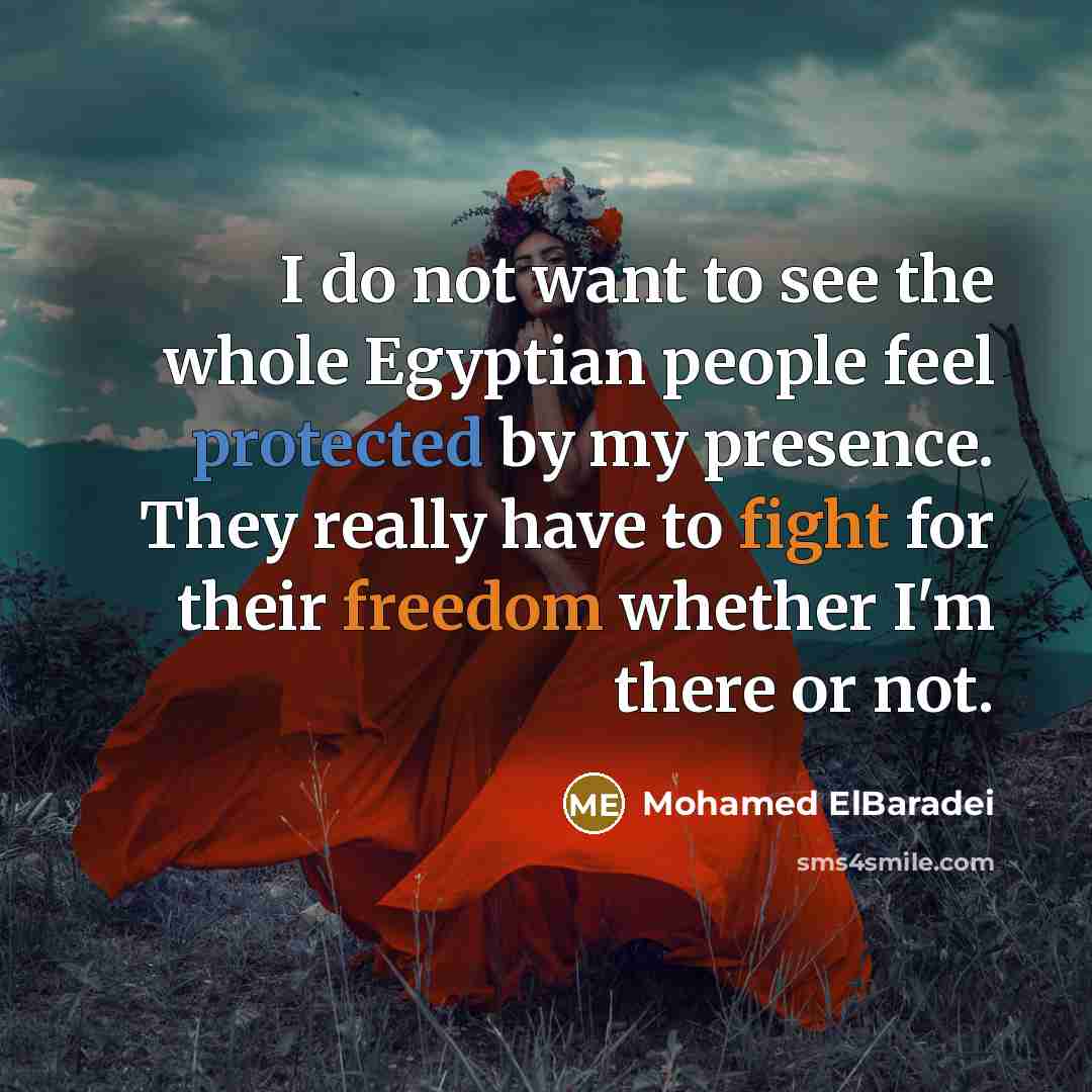 “I do not want to see the whole Egyptian people…” quote by Mohamed ElBaradei