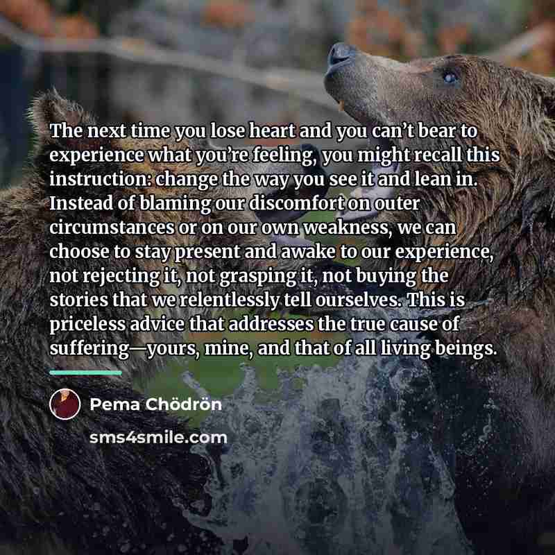 “The next time you lose heart and you can’t bear…” quote by Pema Chodron