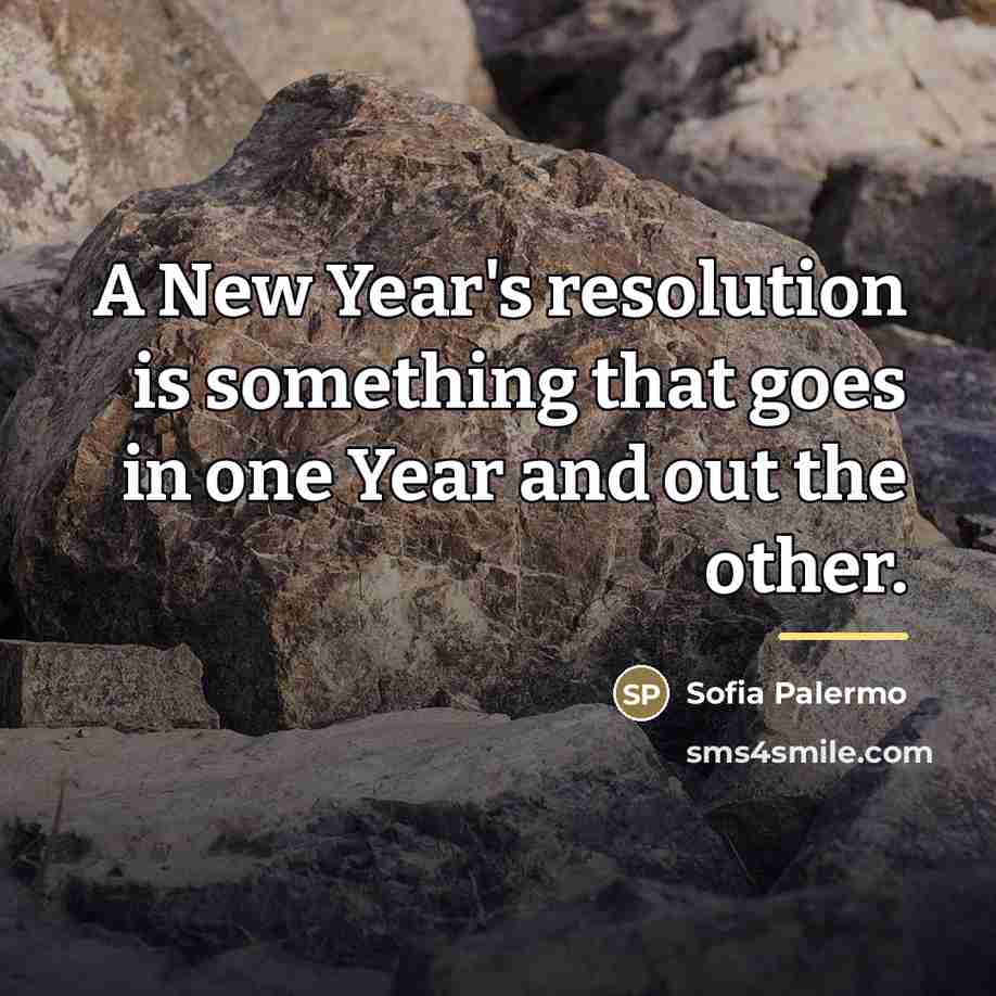 “A New Year's resolution is something that goes in one…” quote by Sofia Palermo