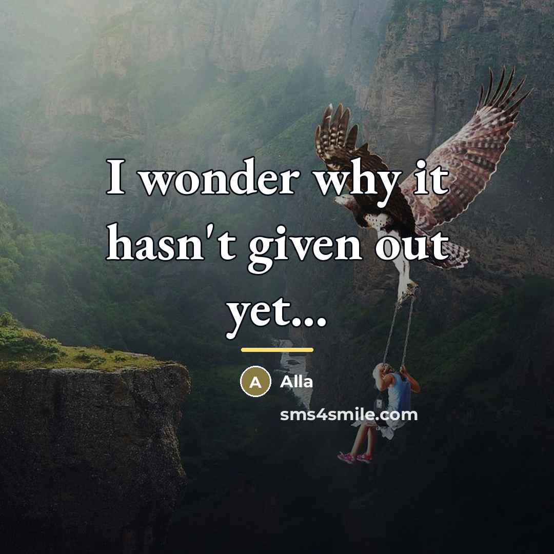 “I wonder why it hasn't given out yet...…” quote by Alla