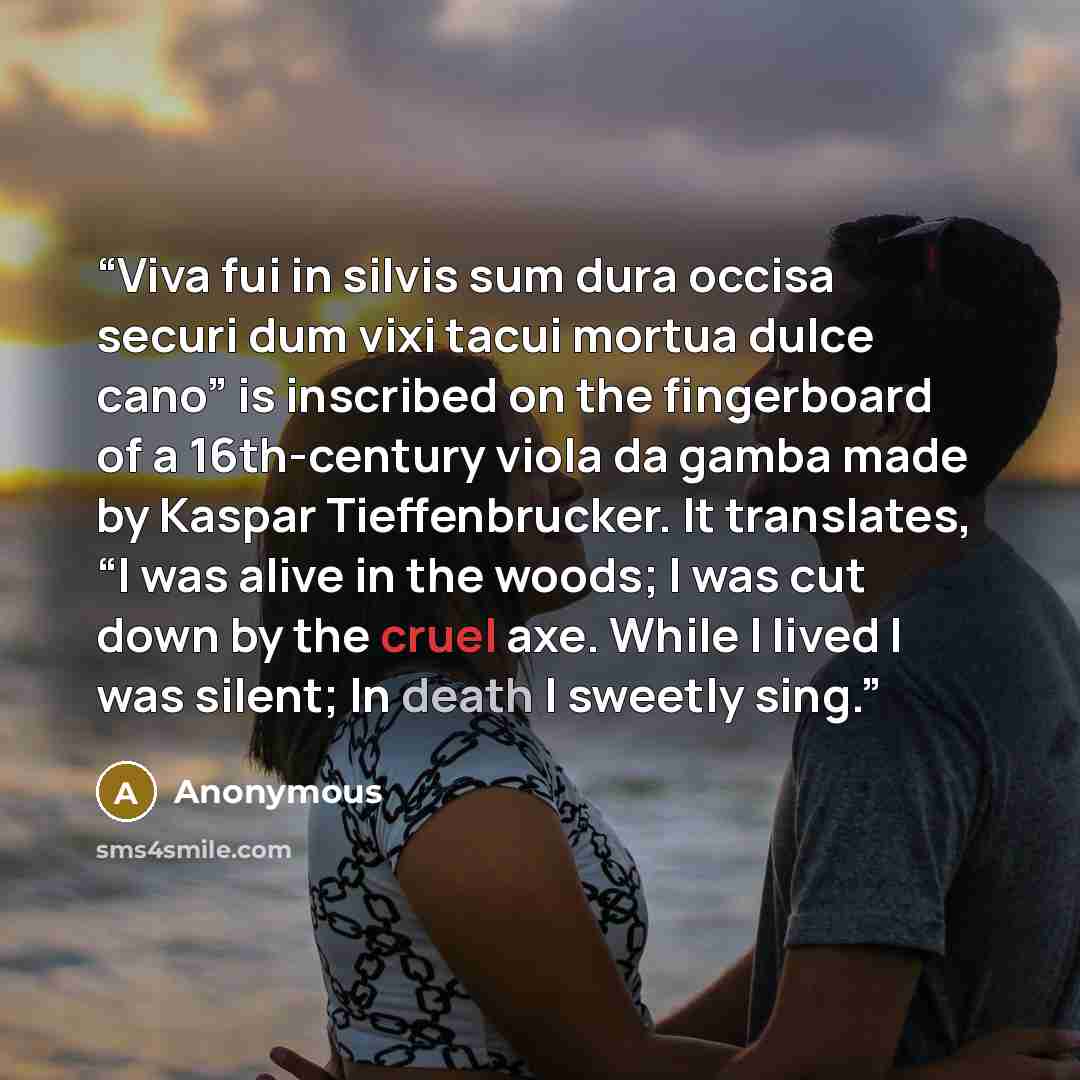 “Viva fui in silvis sum dura occisa securi dum vixi tacui mortua dulce cano” is inscribed on the fingerboard of a 16th-century viola da gamba made by Kaspar Tieffenbrucker. It translates, “I was alive in the woods; I was cut down by the cruel axe. While I lived I was silent; In death I sweetly sing.” quote by Anonymous