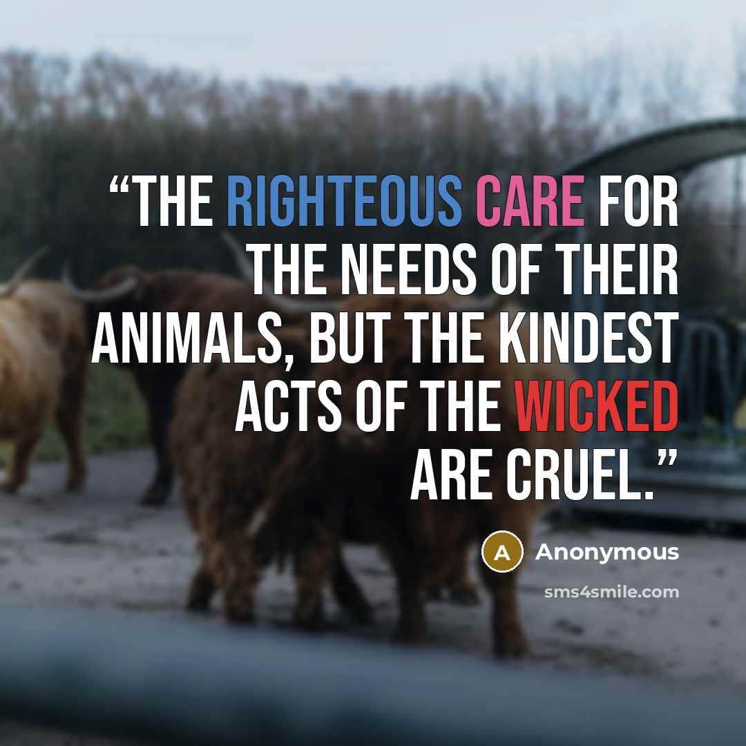 “The righteous care for the needs of their animals, but the kindest acts of the wicked are cruel.” quote by Anonymous