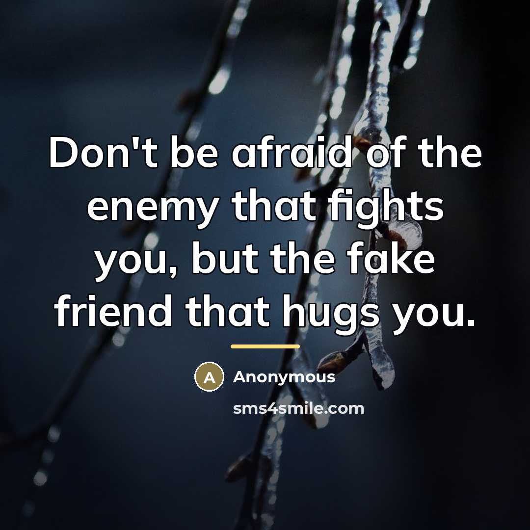 “Don't be afraid of the enemy that fights you, but…” quote by Anonymous