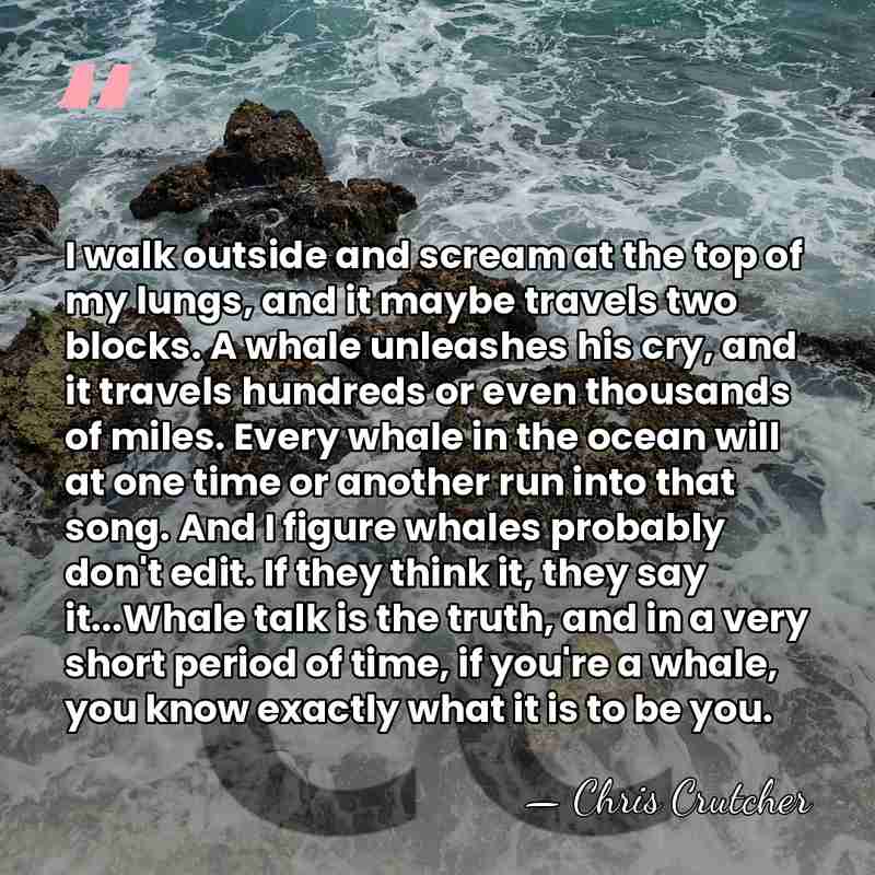 I walk outside and scream at the top of my lungs, and&hellip; - Chris Crutcher