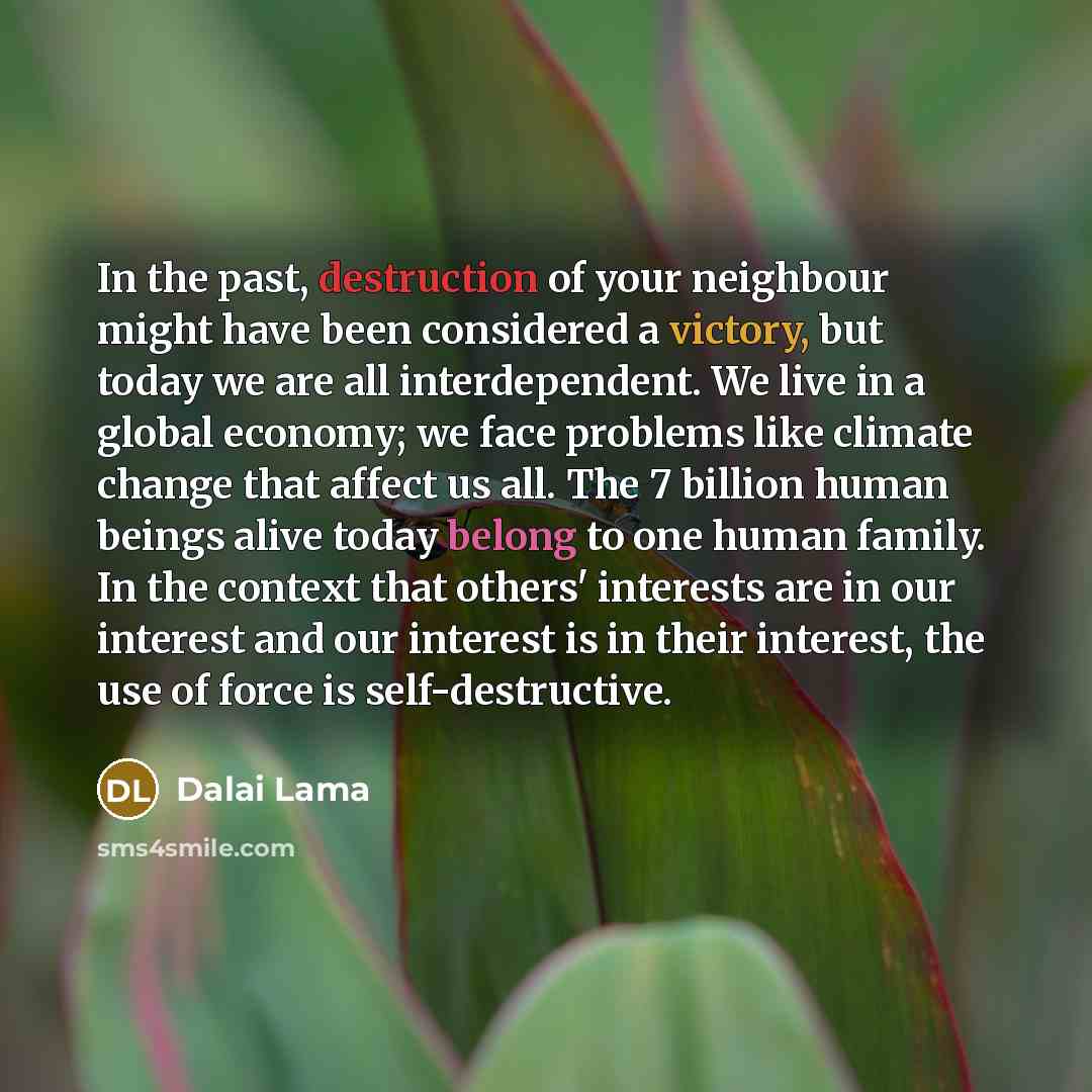 “In the past, destruction of your neighbour might have been…” quote by Dalai Lama