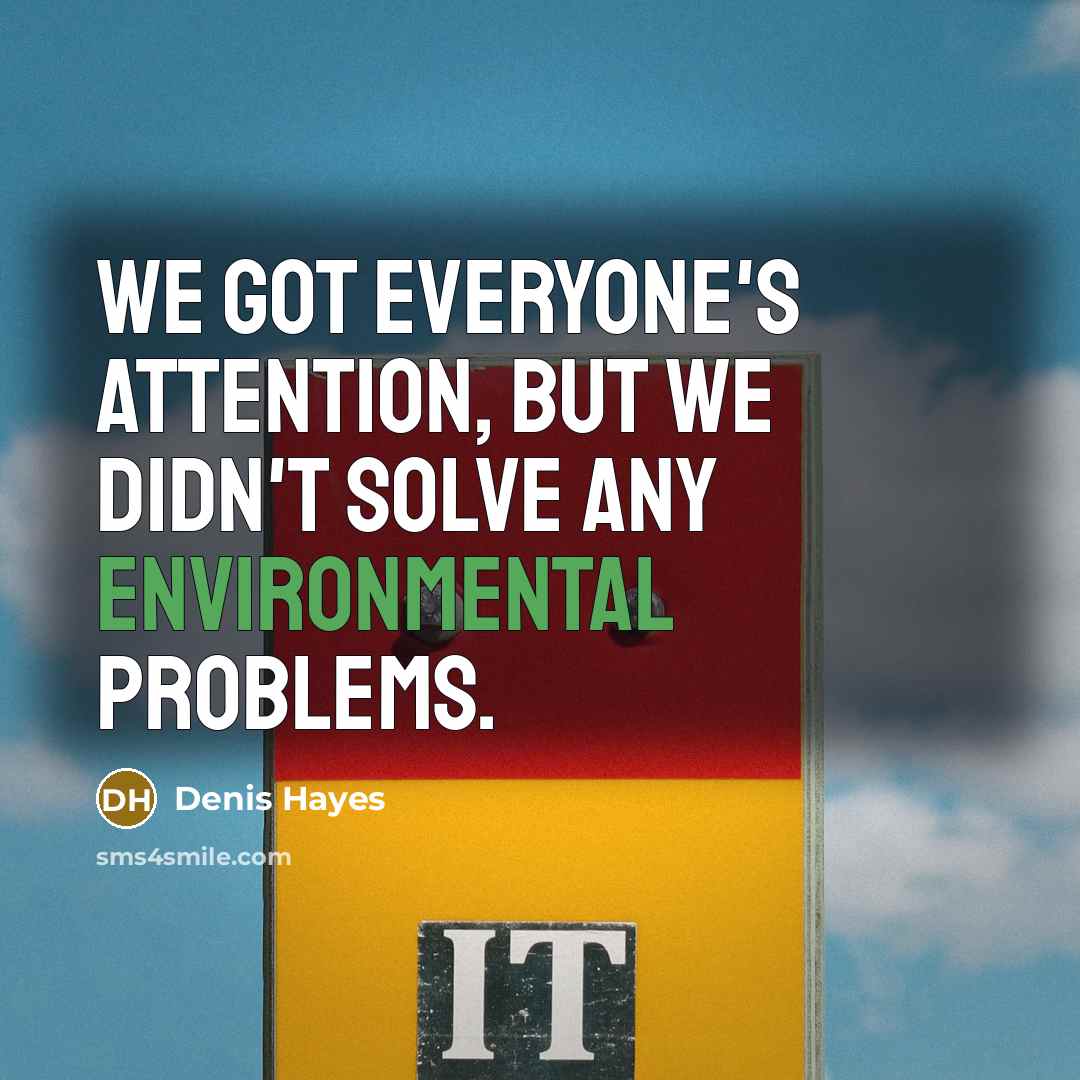 “We got everyone's attention, but we didn't solve any environmental…” quote by Denis Hayes