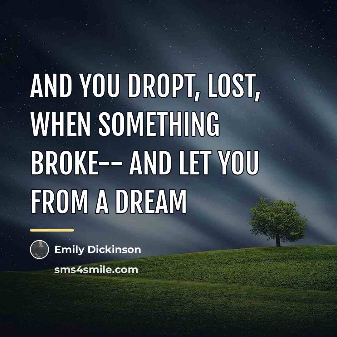 “And you dropt, lost, When something broke-- And let you…” quote by Emily Dickinson