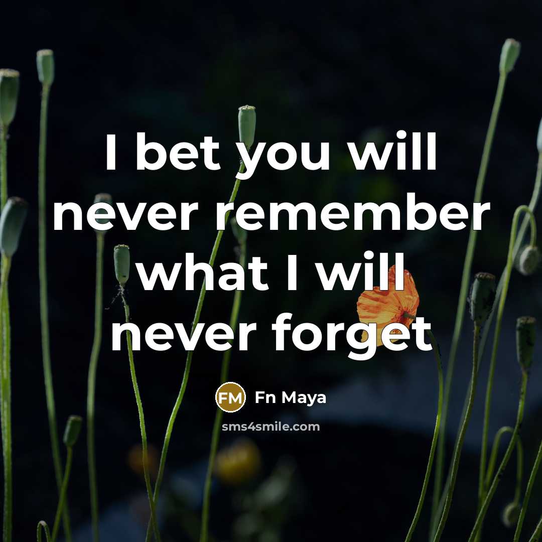 “I bet you will never remember what I will never…” quote by Fn Maya