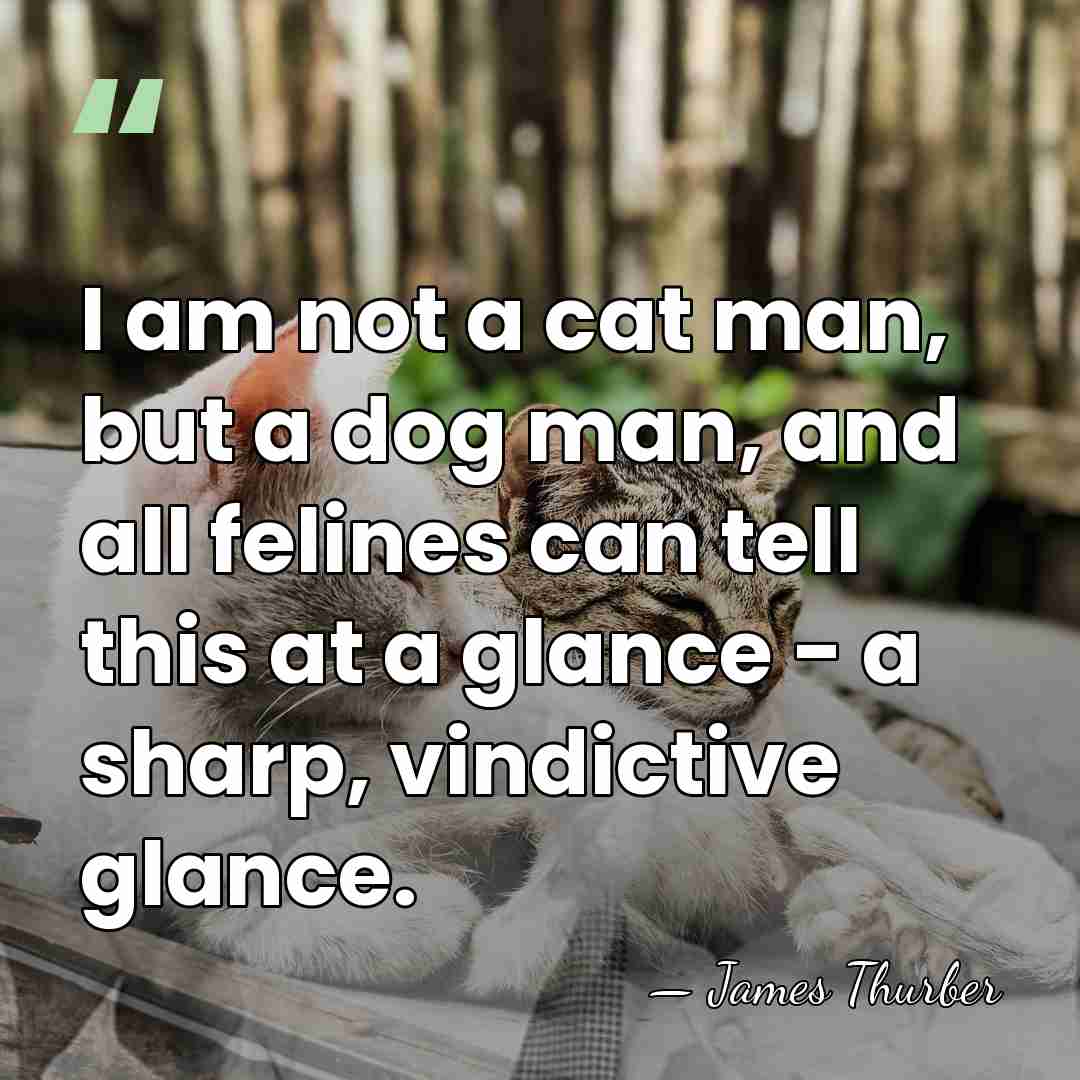 I am not a cat man, but a dog man, and all&hellip; - James Thurber