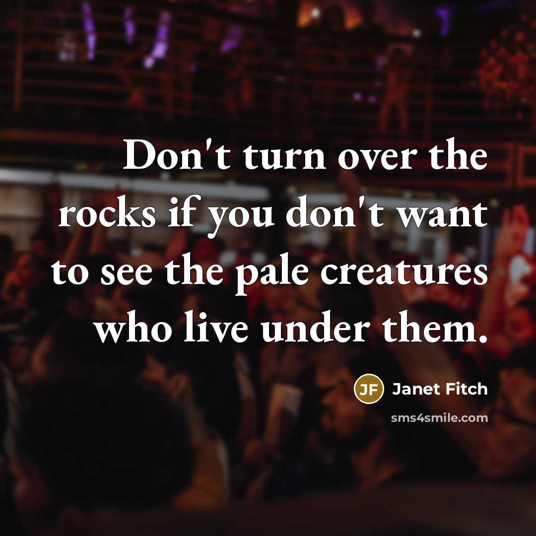 “Don't turn over the rocks if you don't want to…” quote by Janet Fitch