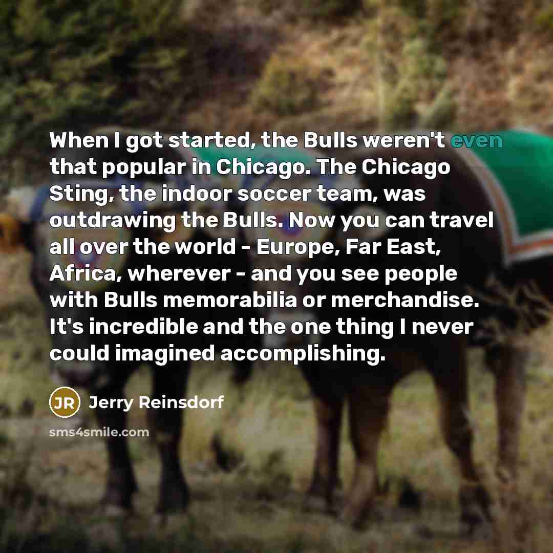 “When I got started, the Bulls weren't even that popular in Chicago. The Chicago Sting, the indoor soccer team, was outdrawing the Bulls. Now you can travel all over the world - Europe, Far East, Africa, wherever - and you see people with Bulls memorabilia or merchandise. It's incredible and the…” quote by Jerry Reinsdorf