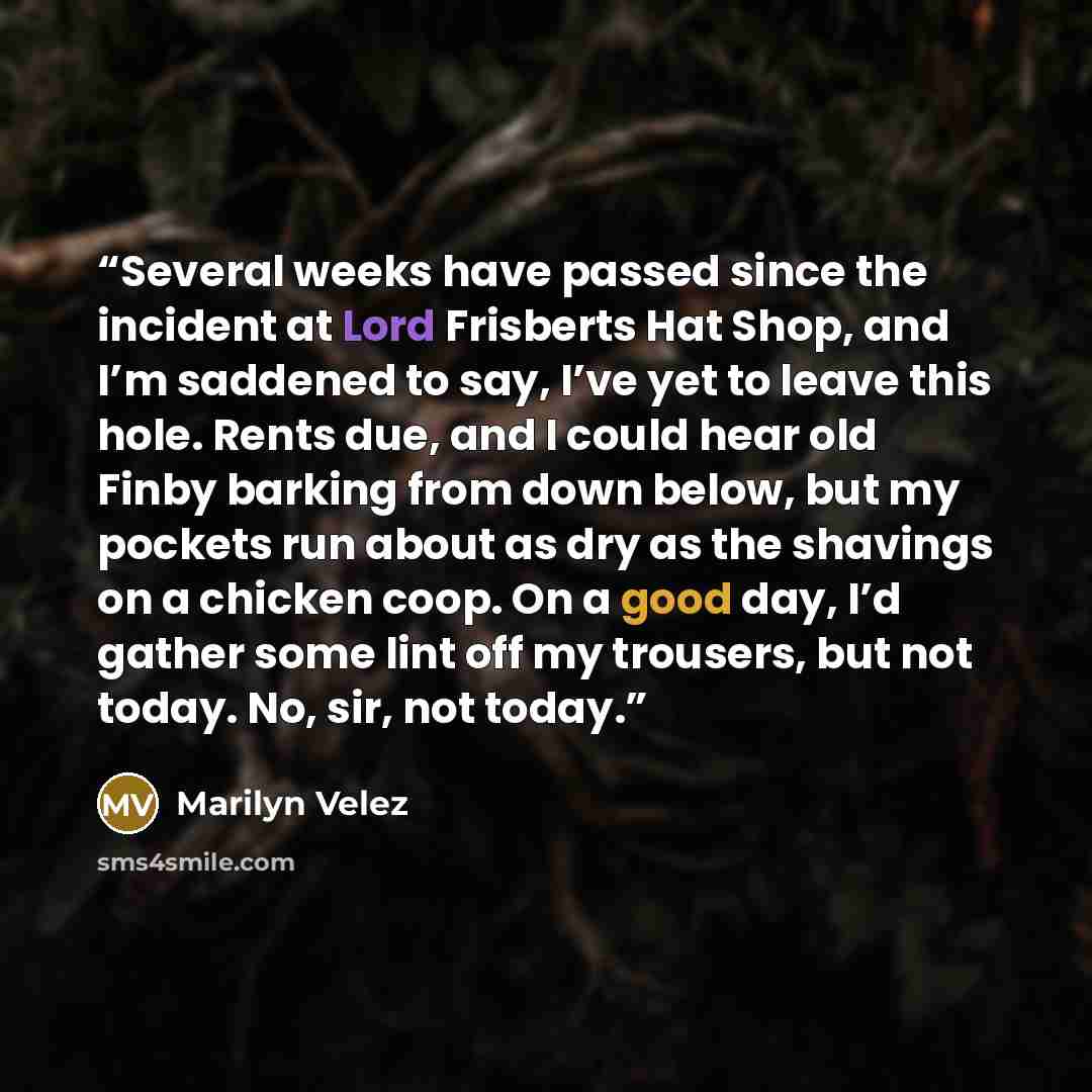 “Several weeks have passed since the incident at Lord Frisberts Hat Shop, and I’m saddened to say, I’ve yet to leave this hole. Rents due, and I could hear old Finby barking from down below, but my pockets run about as dry as the shavings on a chicken coop. On a good day, I’d gather some lint off…” quote by Marilyn Velez