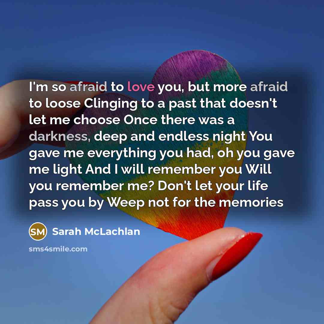 “I'm so afraid to love you, but more afraid to loose Clinging to a past that doesn't let me choose Once there was a darkness, deep and endless night You gave me everything you had, oh you gave me light And I will remember you Will you remember me? Don't let your life pass you by Weep not for the…” quote by Sarah McLachlan