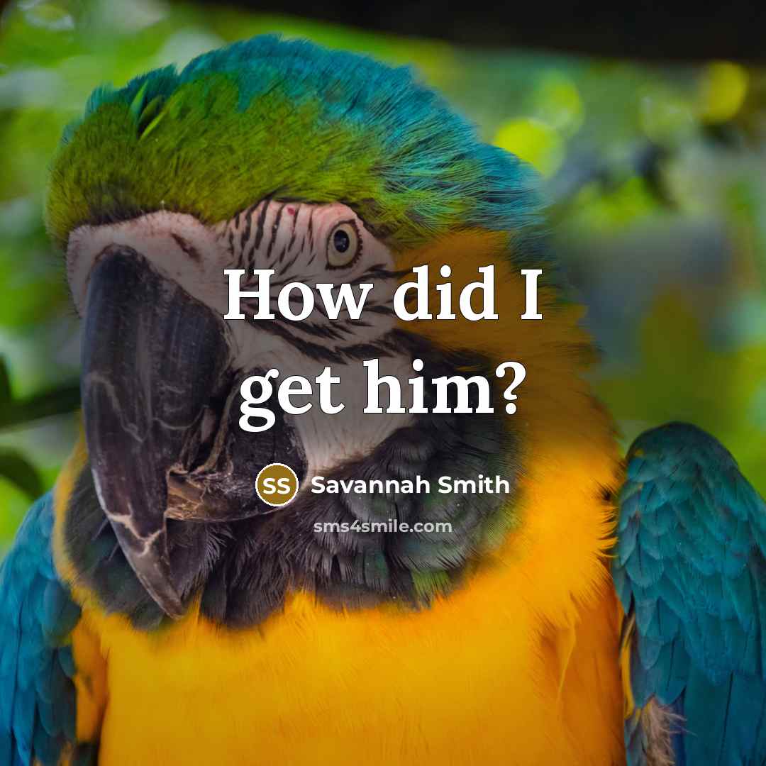 “How did I get him?…” quote by Savannah Smith
