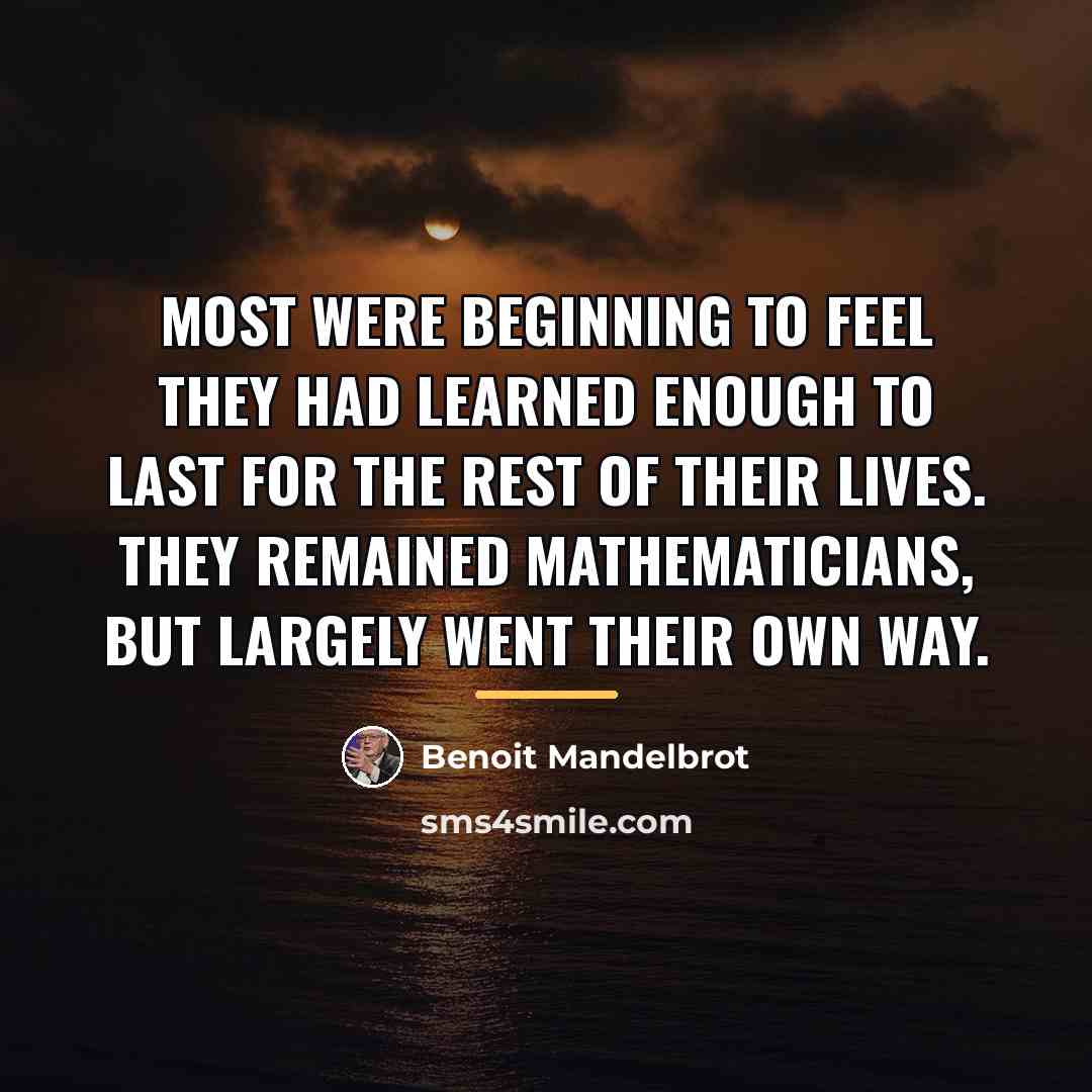 “Most were beginning to feel they had learned enough to…” quote by Benoit Mandelbrot