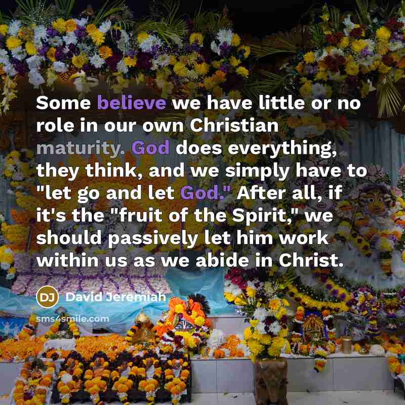 “Some believe we have little or no role in our…” quote by David Jeremiah